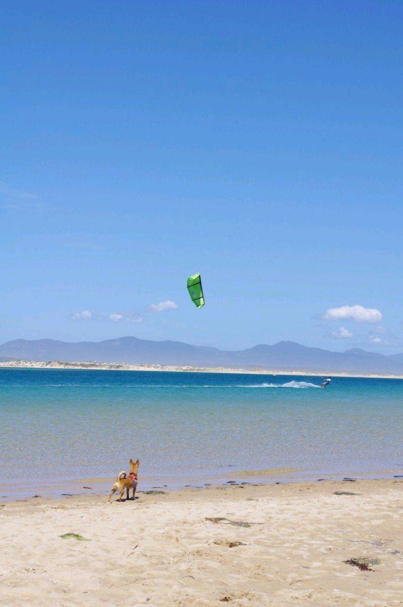 Shalow Inlet - 08 Nov