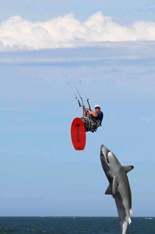 Mr Whitey and Mr Float