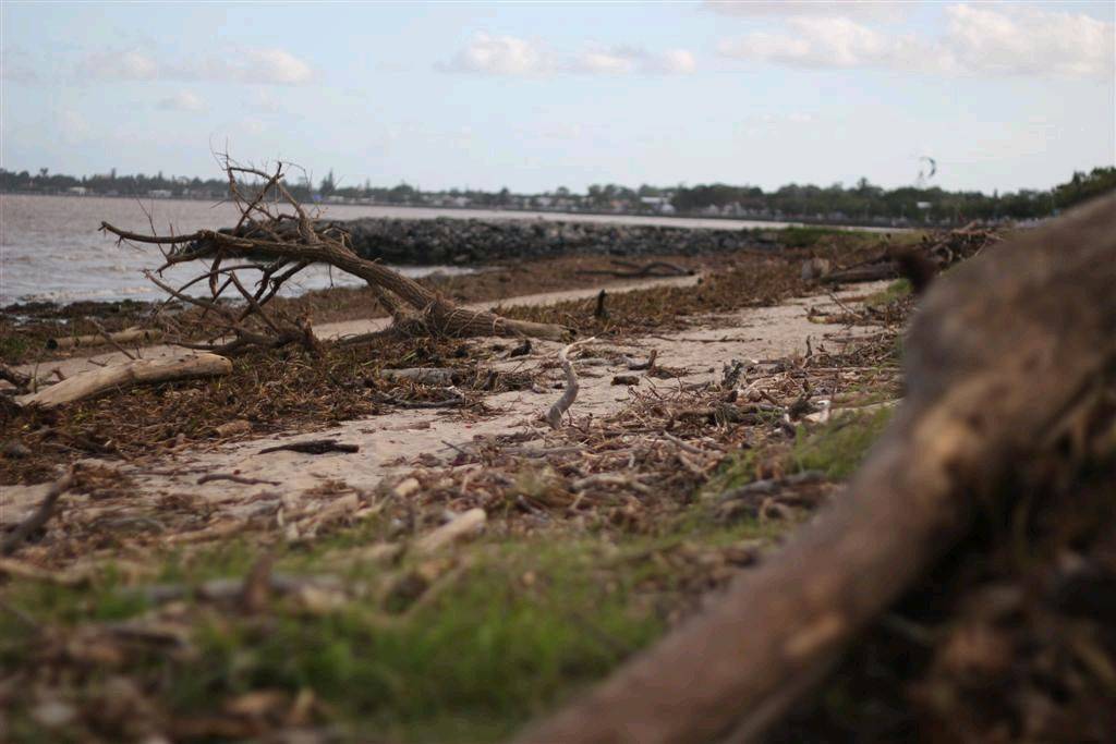 Debris on the beach at Brighton QLD