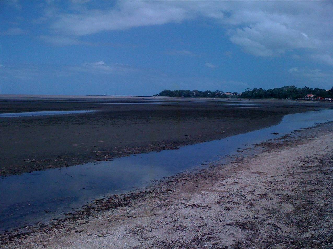 Sandgate Beach Clean up after flood