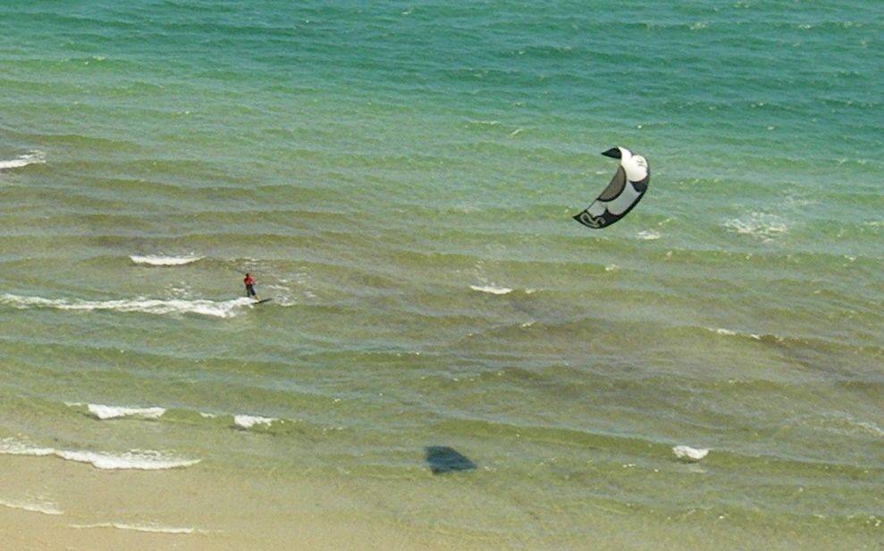 Feestyle State Titles - Jan 2011