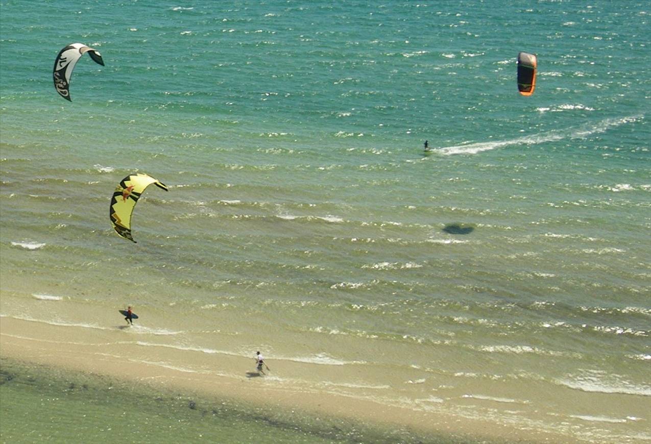 Feestyle State Titles - Jan 2011