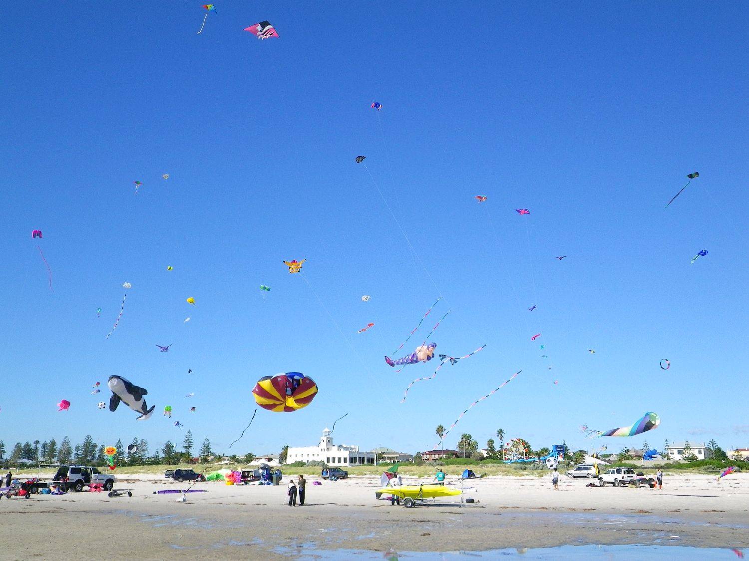 Adelaide Kite Festival 2011