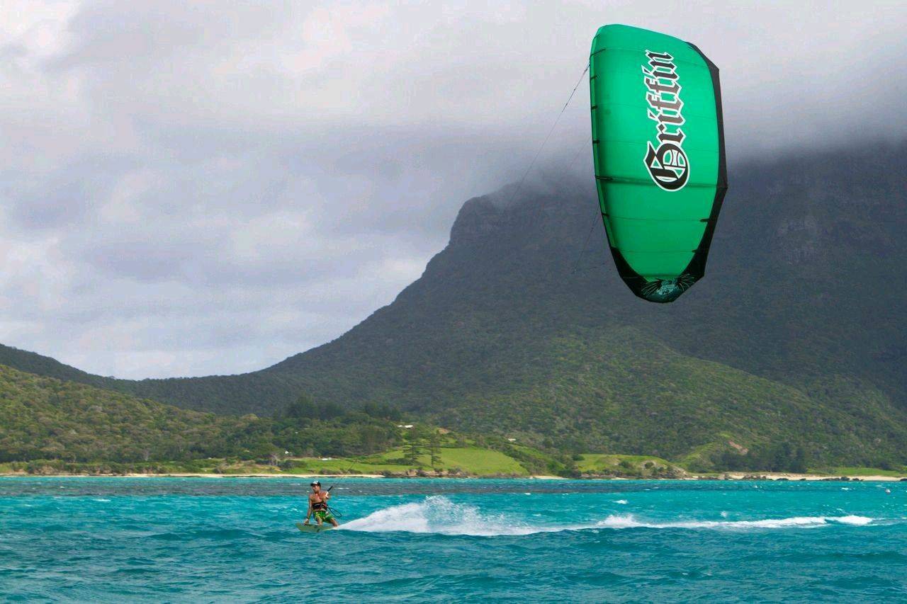 Lord Howe Kite
