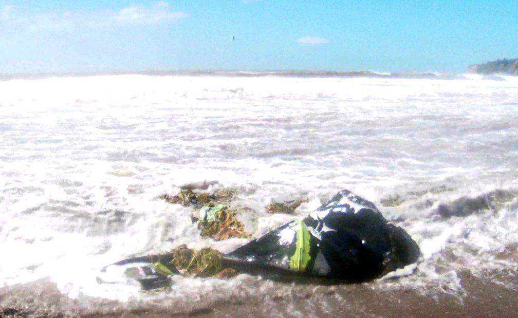 RPM after a cyclone swell