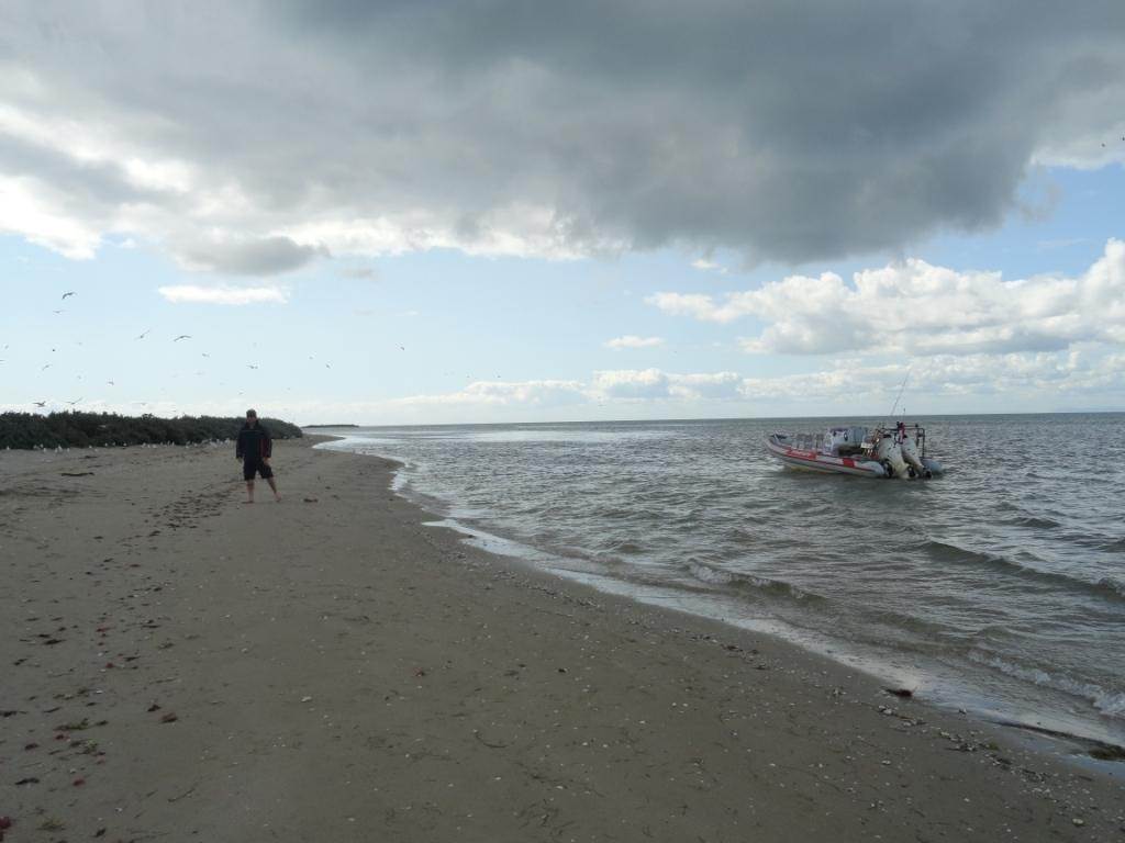 Kraken at Mud Island