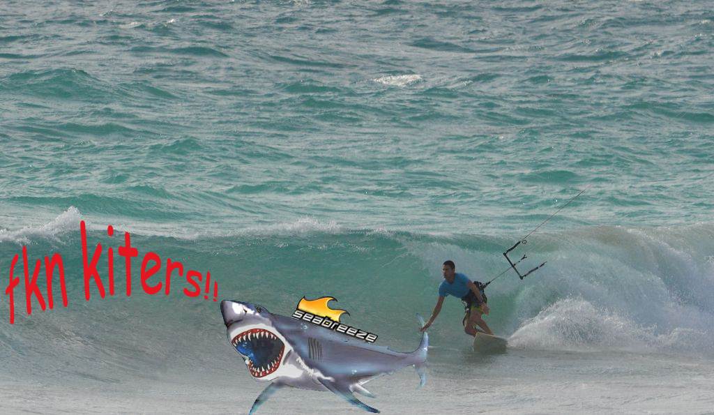 sharksurfing fkn