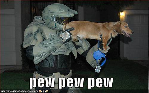 funny-dogs-guns-photo2