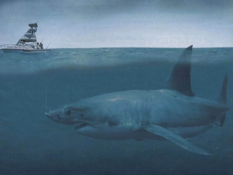 megalodon