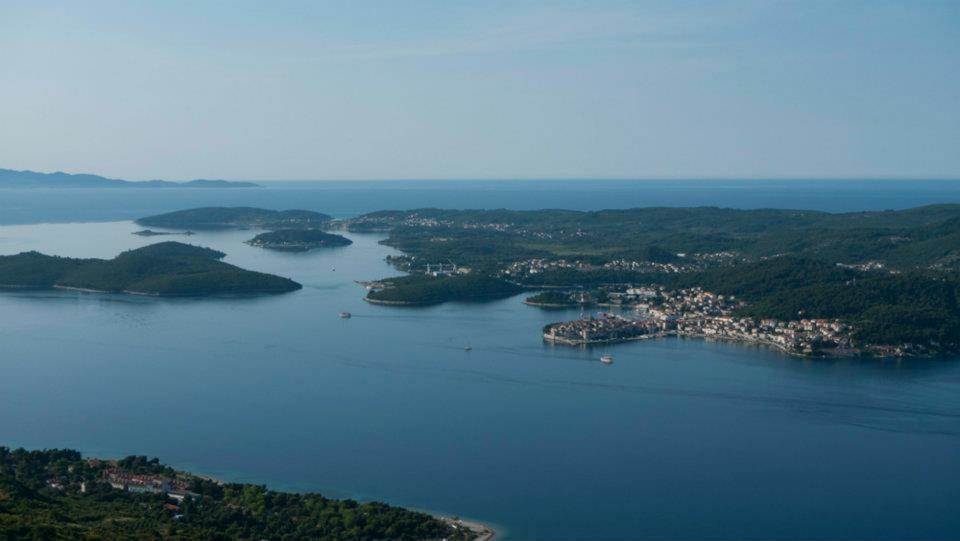 196086 316733205078240 300662198 n