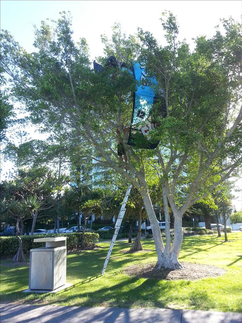 KFC's 23rd March 2013