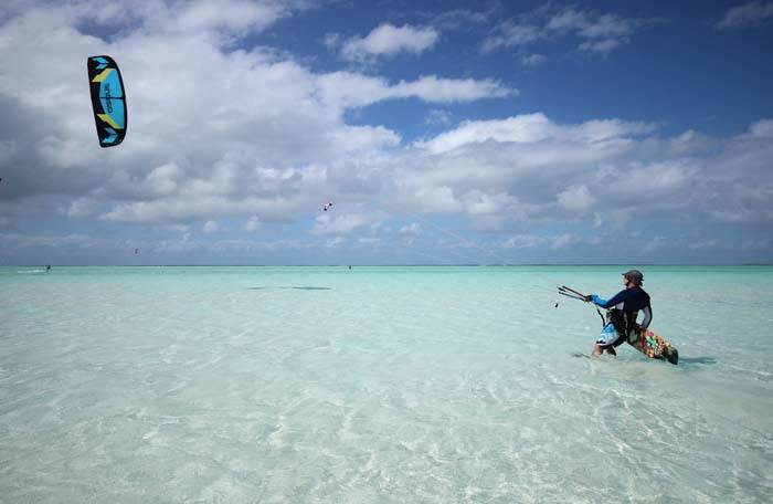 Cocos, Nice, August 2013