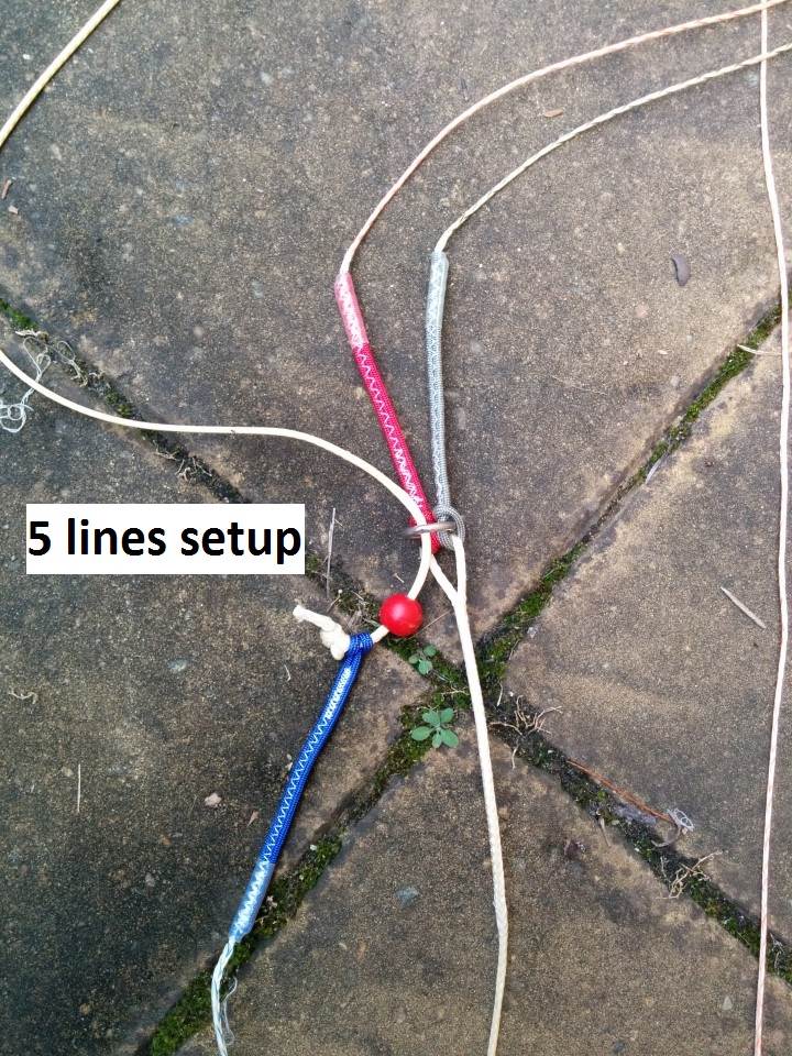 North 5 lines safety