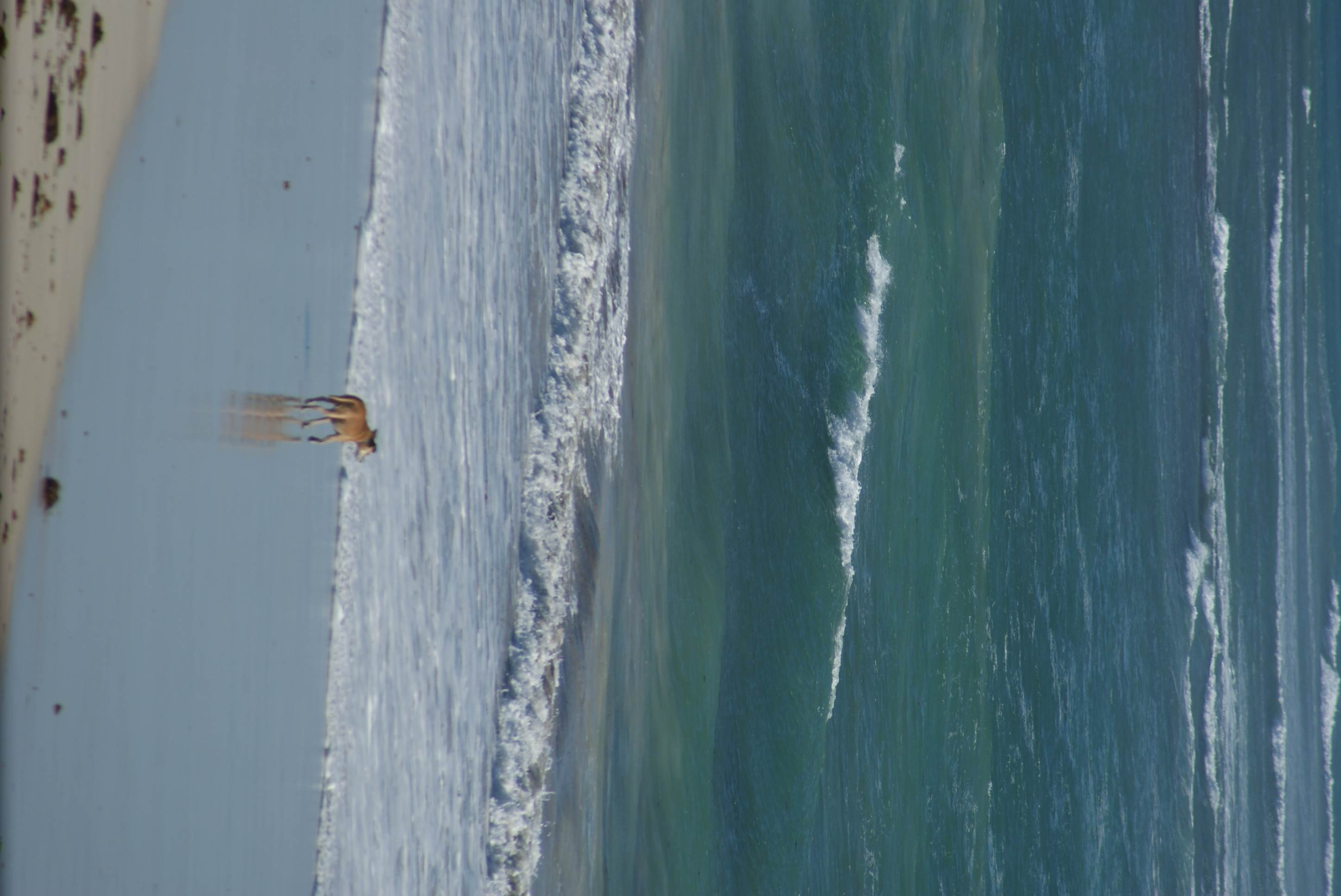 Sweet session steve you were rippen it