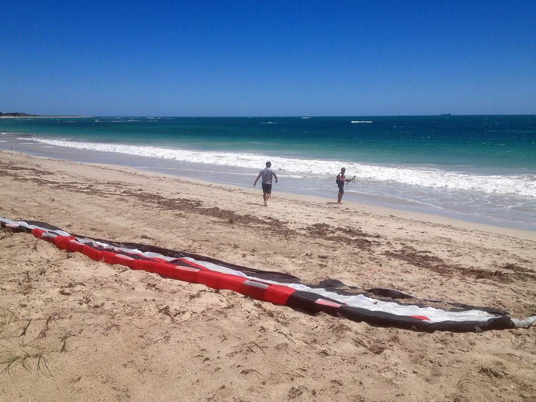 Ian's boar with newly kitted pads