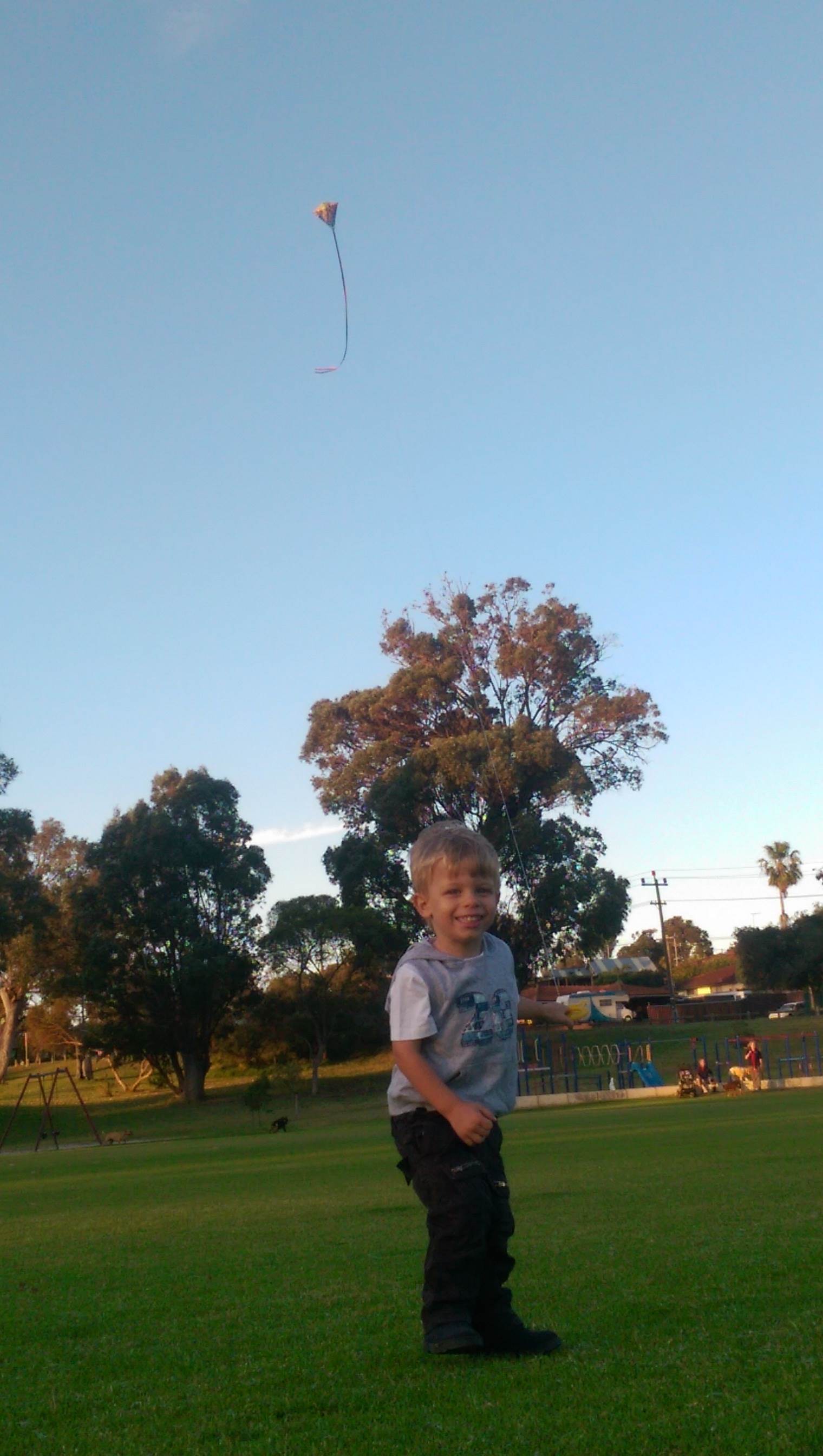 tmp 15540-IMAG1398-1300669263