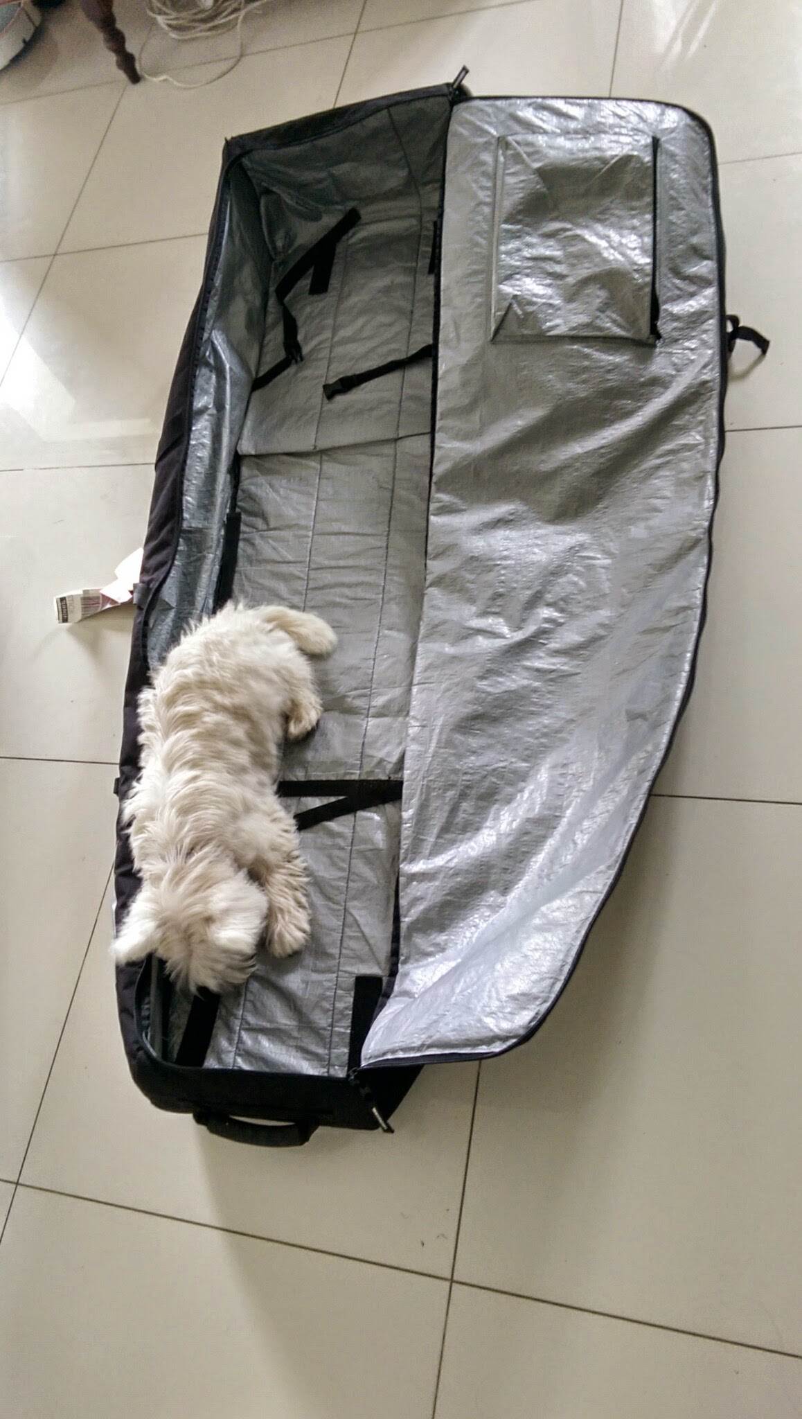 golf bag