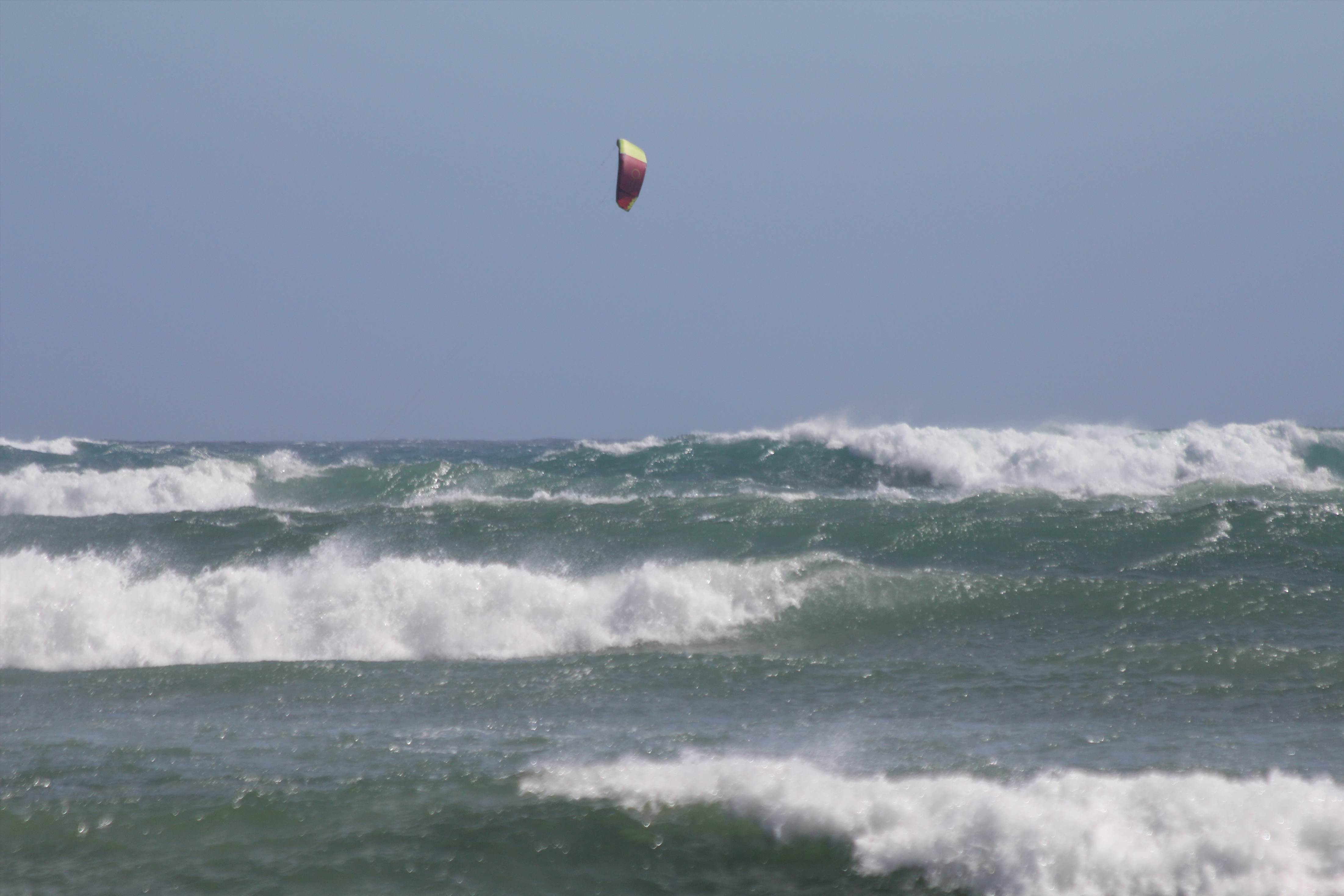 Croc, Jordie  and Bazz