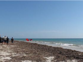 self-rescue clinic 1