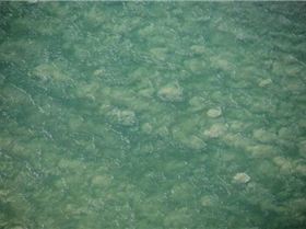 The fast moving deadly (literally) current ripping out to sea at Caloundra