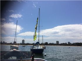 First trees then powerlines now yacht rigging