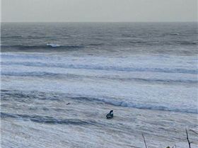 13233018 10156887505985175 7688832137118387809 n