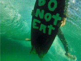 FB IMG 1469656299512