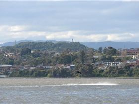 Primbee, Saturday 3rd September