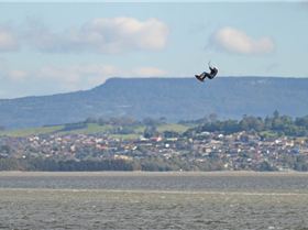 Primbee, Saturday 3rd September