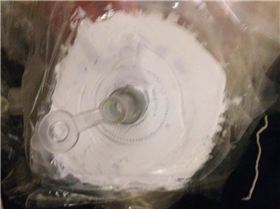 14518357 10157401430390005 1210958282 n