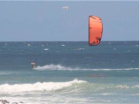 Screen Shot 2016-09-28 at 7.42.45 PM