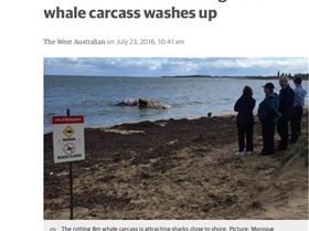 Screenshot 2016-10-21-21-46-04-1