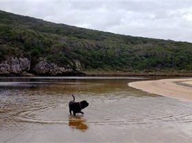 10400588 21426579796 7508 n