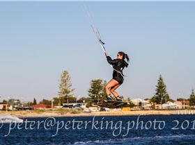 The Pond Nov 22 2016