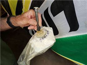 14697047 10208807278916845 1164606770 n