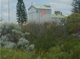 Just head for the Dingo....