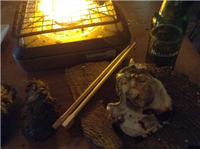 today's harvest off the rocks