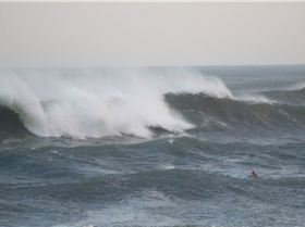 typhoon surfing, not as heavy as it looks, kind of...