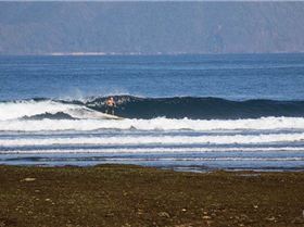 first morning, bit timid (this is indo after all)