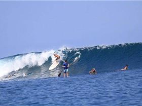 hottie in the water duck diving lol