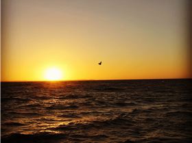 Woodman point sunday 15Jan