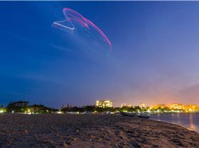 Cotton Tree 14.01.17