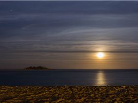 Cotton Tree 14.01.17