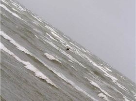 15585414 1383991544967194 1891151999853141285 o