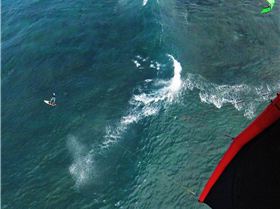 14882407 10210472810633745 7882154271027209255 o