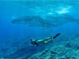 melissa-with-whale crop