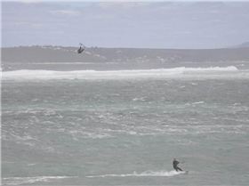 Screen Shot 2017-04-12 at 1.35.03 pm