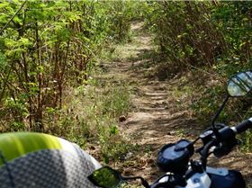 Kaliantan ekasfantastic lombok