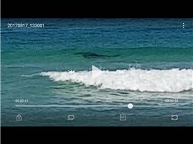 Screenshot 20170821-123744