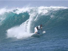 Sumbawa Trip - Dave Lightfoot